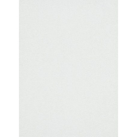 Erismann MIX Collection/Bestseller 02425-90 Egyszínű struktutált fehér csillogó hatás tapéta