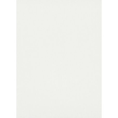 Erismann Instawalls 2, 10080-01 Egyszínű strukturált fehér tapéta