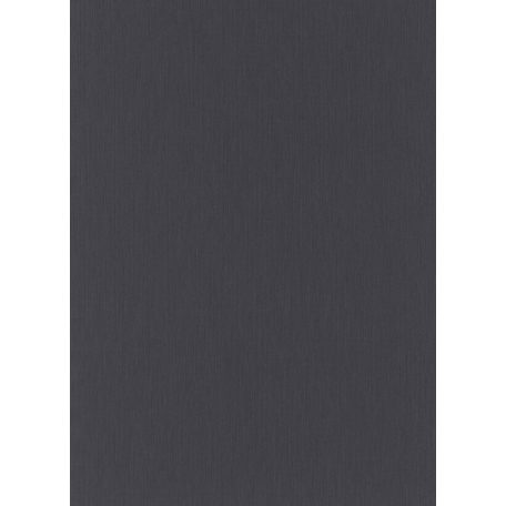 Erismann Instawalls 2, 10080-15  Egyszínű strukturált fekete tapéta