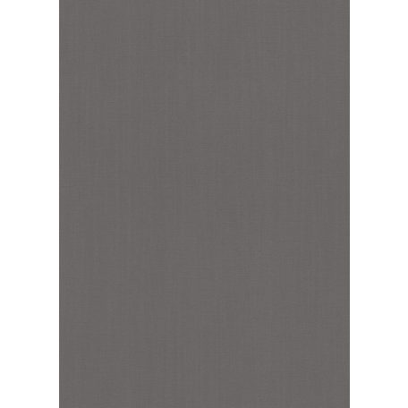Erismann Spotlight 10108-15 Natur Egyszínű strukturált vakolatminta sötétszürke/szürkésbarna/antracit tapéta