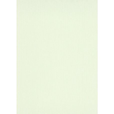Erismann ELLE Decoration 2, 10171-35 Egyszínű strukturált halványzöld csillogó hatás tapéta