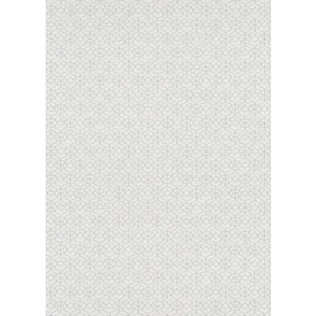 Erismann Code Nature 10211-31 Grafikus díszítőminta apró elemek láncolata szürkésfehér ezüstszürke tapéta