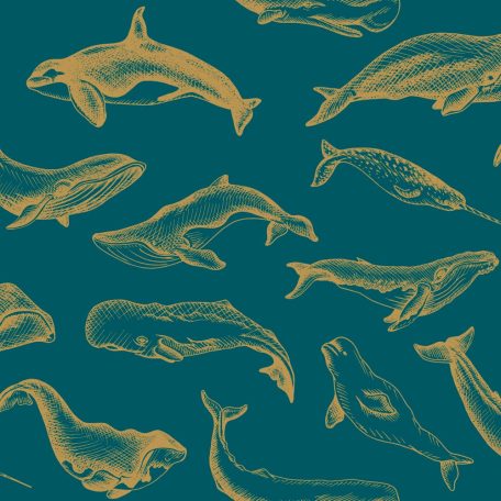 Emblematikus motívum tengeri emlősökkel : bálna delfin és kardszárnyú delfin türkizkék és arany tónus fémes hatás tapéta