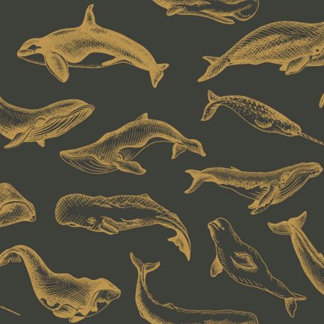 Emblematikus motívum tengeri emlősökkel : bálna delfin és kardszárnyú delfin fekete és arany tónus fémes hatás tapéta
