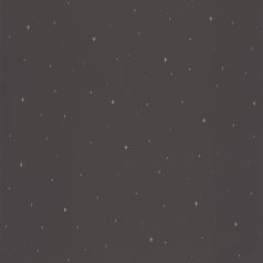   Caselio La Foret 102969983 UNDER THE STARS Natur éjszaka a csillagok alatt fekete bézsarany tapéta