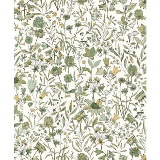   Herbárium! Mezei vadvirágok és pitypangok botanikai mintája tejfehér zöld sárga és fekete tónus tapéta