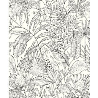   Egzotikus kert - tukánokat rejtő buja trópusi növényzet minimalista fehér fekete tapéta