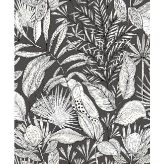   Egzotikus kert - tukánokat rejtő buja trópusi növényzet minimalista fekete fehér tapéta