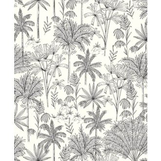   Csodás trópusi botanikus kert - pálma aloé és banánfák fehér fekete tapéta