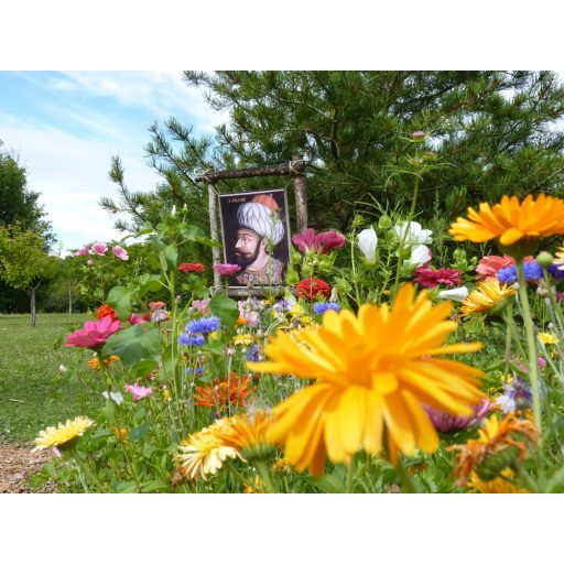 Francia kert ihlette finom metszésű virágok rózsák fehér fekete tapéta