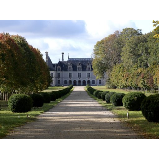 Francia kert ihlette finom metszésű virágok rózsák éjkék fehér rosé fekete arany fémes hatás tapéta