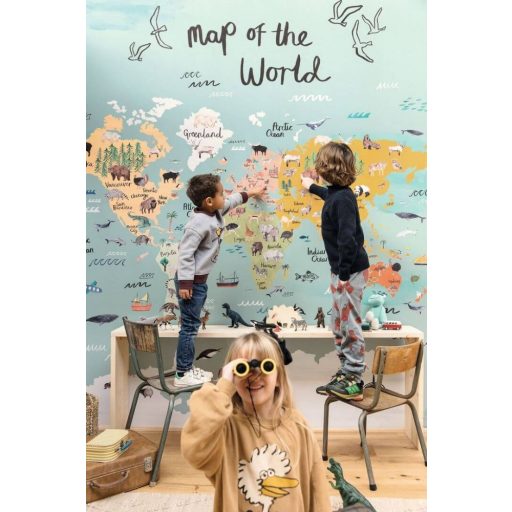 Kapitány! Föld a láthatáron! Az egész! Világtérkép jellemző növény és állatvilággal szürkészöld sokszínű falpanel