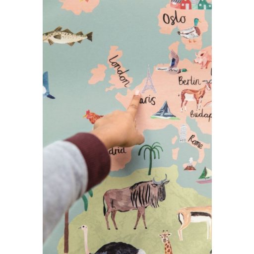 Kapitány! Föld a láthatáron! Az egész! Világtérkép jellemző növény és állatvilággal szürkészöld sokszínű falpanel