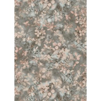   Finom ágakon nyíló varázslatos bodzavirágok a reggeli harmatban szürkésbarna szürke rózsaszín és zöldeskék tónus tapéta