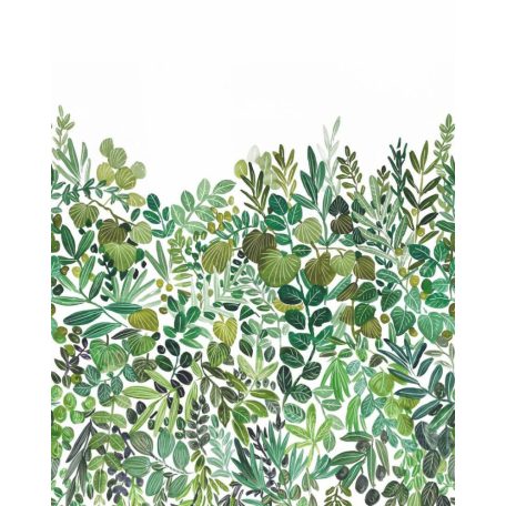 Változatos (szoba)növények levelei a zöld széles palettáján "M" méret fehér zöld sárgászöld és szürke tónus falpanel