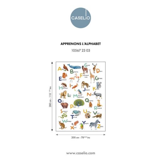 Szórakoztató játékos és színes francia "ABC-s könyv" állati illusztrációkkal "M" méret fehér és sokszínű tónus falpanel