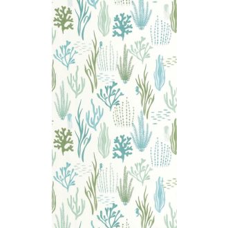   Tenger fenekén ez a látvány fogad - Hínárok algák korallok és apró halak grafikus mintája fehér vízzöld vízkék és zöld tónus gyerektapéta