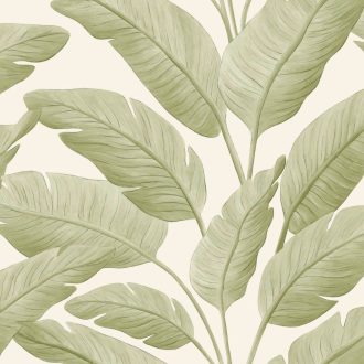   Festett hatású botanikailag hiteles banánlevelek XXL mintája törtfehér zöld és mandulazöld tónus tapéta