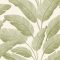 Festett hatású botanikailag hiteles banánlevelek XXL mintája törtfehér zöld és mandulazöld tónus tapéta