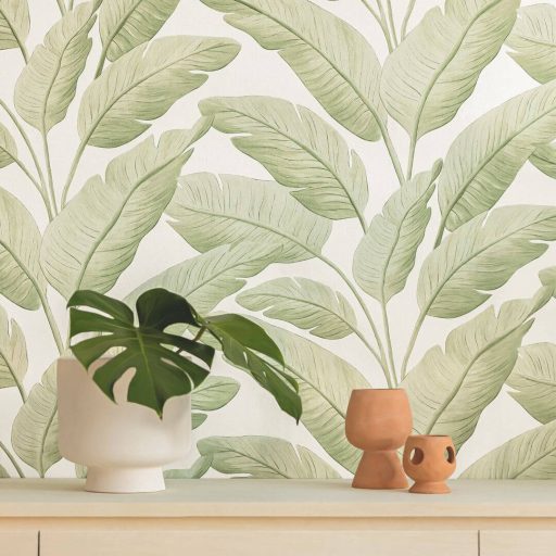 Festett hatású botanikailag hiteles banánlevelek XXL mintája törtfehér zöld és mandulazöld tónus tapéta