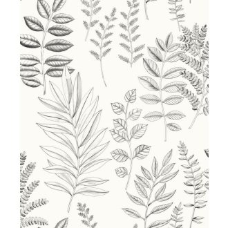   Herbárium ihlette vizuális virágos költemény - monokróm - fehér és fekete tónus tapéta