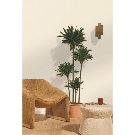 Finom textúrájú vonalszerűen strukturált természetes egyszínű minta krémfehér tónus tapéta