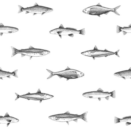 Tengeri halak grafikus tollrajz ábrázolása törtfehér és tusfekete tónus tapéta