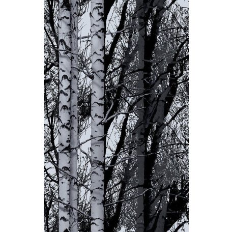 Dc-fix 200-3197 Deko Wood Fotoprint öntapadó tapéta