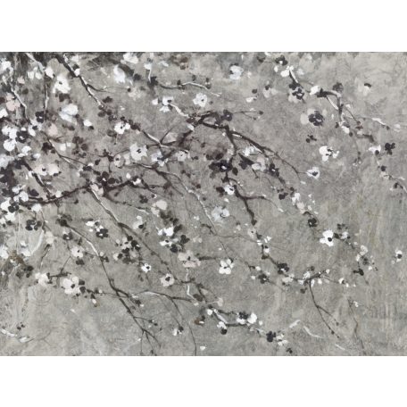 BN ZEN 200414 CHERRY BLOSSOM TREE Natur virágzó cseresznyefa szürke árnyalatok fekete fehér digitális falpanel