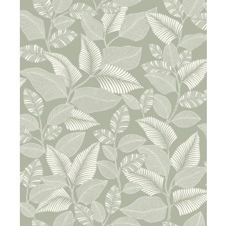   Brazil esőerdő lombkoronája grafikus levélmotívum formájában símul a falra celadon - halvány zöld zsálya menta és törtfehér tónus tapéta