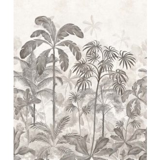   EMIL & HUGO Zanzibar 290294 JOZANI FOREST Natur trópusi misztikus szépségű dzsungel csendélet meleg szürke homokszín digitális panel