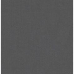   BN Dimensions by Edward van Vliet 219536 texturált egyszínű sötétszürke fekete tapéta