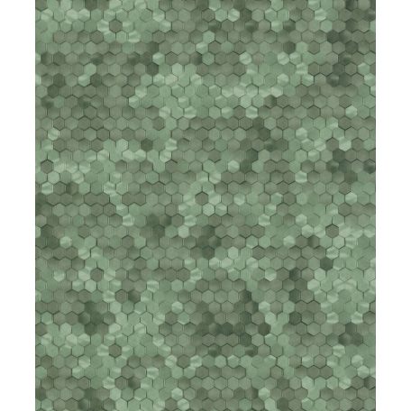 BN Finesse Dimensions 219586 Geometrikus hatszökek színátmenettel zöld tapéta