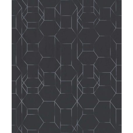 BN Finesse Dimensions 219603  sík és térbeli elemek fekete ezüstszürke tapéta