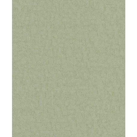 BN Van Gogh 2, 220073  Egyszínű finom ecsetvonás struktúra zöld tapéta
