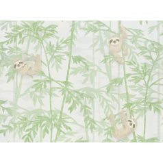   BN Doodleedo 220712 HANGING IN THERE Gyerekszobai bambuszfákon csüngő koalák fehér zöld bézs barna tapéta