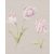 Rasch Textil Jaipur 227580 virágos krémszürke eperszín fehér zöld tapéta