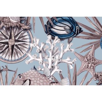   Tengeri élményvilág színes halakkal tengeri csillagokkal és korallokkal halványkék porcelánkék pezsgőszín fehér barna és fekete tapéta