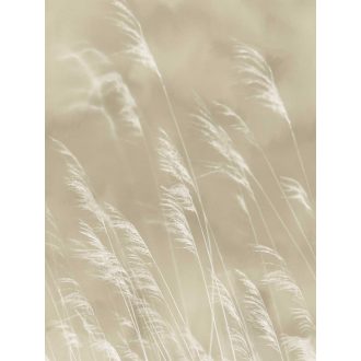   Eijffinger Waterfront 300900 Natur Skandináv szélben lengedező nádszálak bézs barna krémfehér falpanel