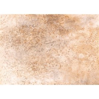   Korall mészkőlerakódások mesteri felnagyított panorámája "XL" krém homokszín halvány és aranyló bézs tónus falpanel