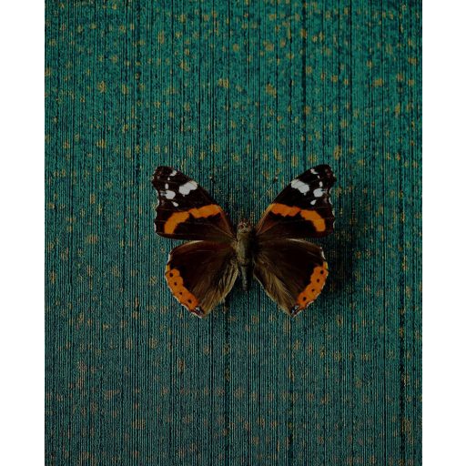 Eijffinger MUSEUM 307351 Vintage szabálytalan formájú és elhelyezkedésű pontok sötétzöld arany fénylő mintarészletek tapéta