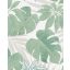 Marburg Avalon 31604 Natur botanikus Monstera és Schefflera szürkésfehér szürke zöld ezüst fémes hatás tapéta