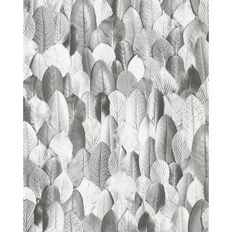   Marburg Imagine 31736  Natur realisztikus levél mintázat fehér szürke sötétszürke tapéra