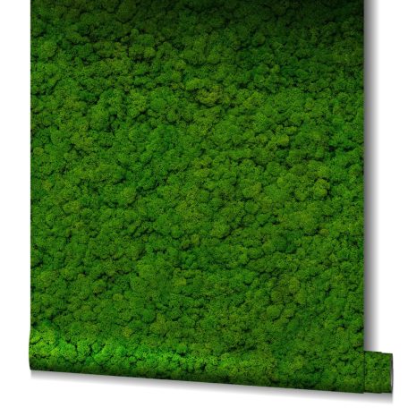 Már nem csak a fák északi oldalán! Mohával benőtt/borított 3D fal zöld sötétzöld és antracit tónus tapéta