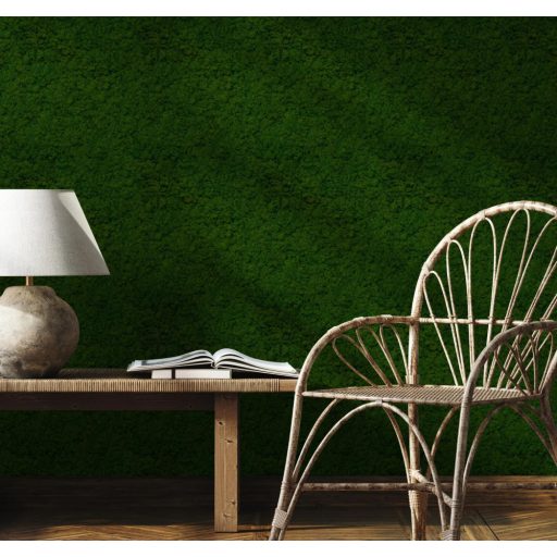 Már nem csak a fák északi oldalán! Mohával benőtt/borított 3D fal zöld sötétzöld és antracit tónus tapéta