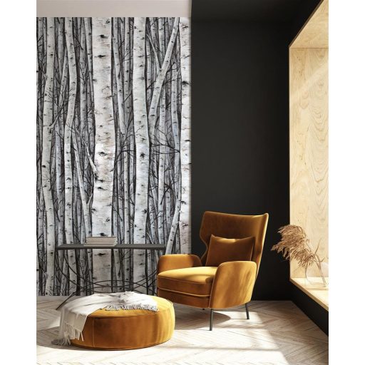 Realisztikus ábrázolású nyírfaerdő motívum a természet szerelmeseinek fehér szürke fekete és barna tónus falpanel