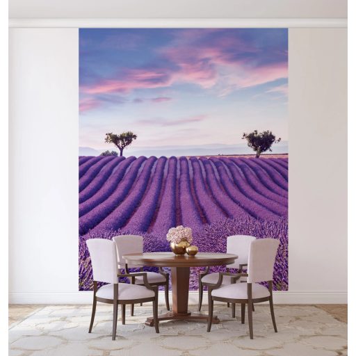 Provánszi tájkép hullámzó levendula sorokkal - elképesztő panoráma élénk lila pasztell rózsaszín és lágy kék tónus falpanel
