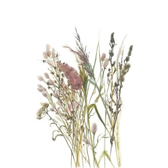   Szárított kalászok és mezei virágok légies kompozíciója fehér mályvarózsaszín olívzöld és természetes bézs tónus falpanel