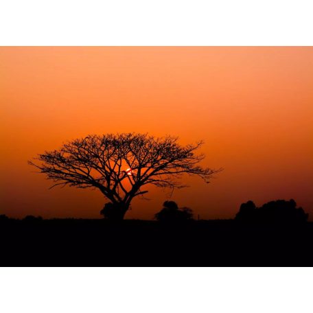 Varázslatos naplemente az érintetlen afrikai szavannán "XL" méret vörös aranysárga és fekete tónus falpanel