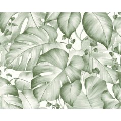 As-Creation Colibri 36627-2 natur organikus dzsugel fehér zöld tapéta